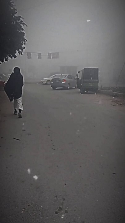 Walk in Fog