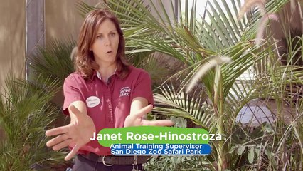 Two Unlikely Animals Pals Come Together For an Amazing Story