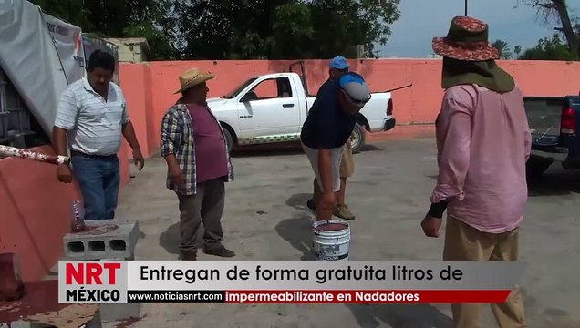 Entregan de forma gratuita litros de impermeabilizante en Nadadores _ NRT noticias