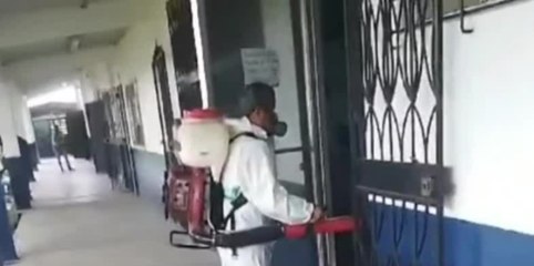 ¿Qué amenazas a la salud provocan las pulgas?