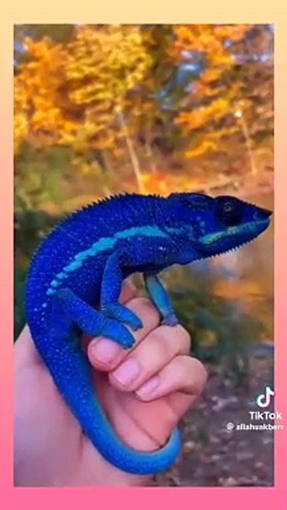 Most beautiful nature creations