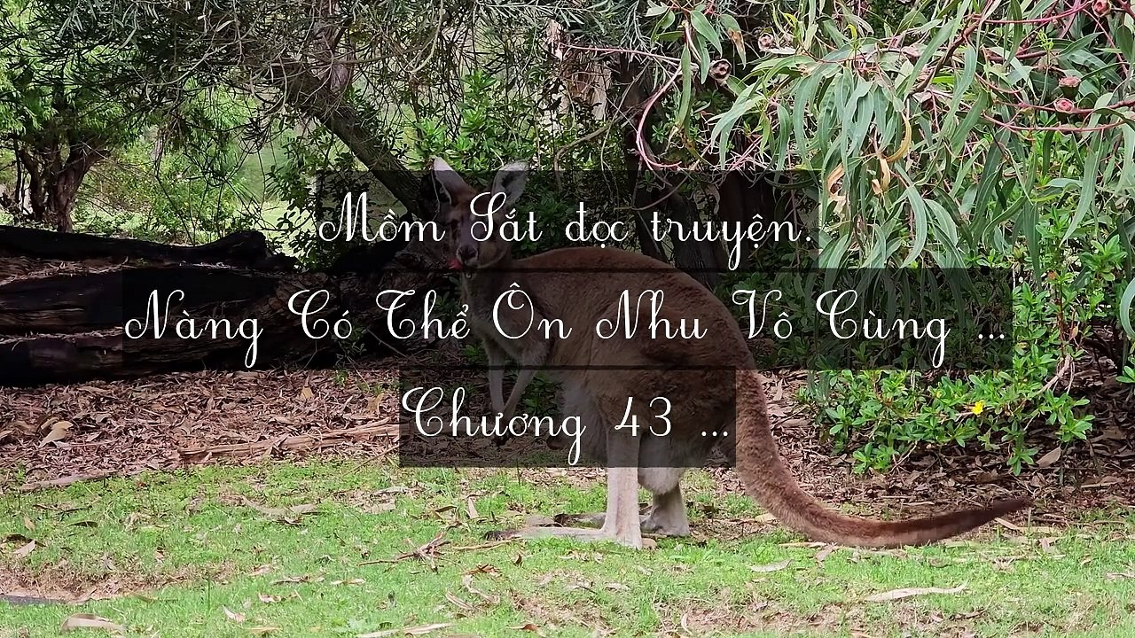 Mới 2024 Chương 41-45: Nàng Có Thể Ôn Nhu Vô Cùng