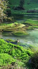 DC52191-7244844781438897445-dy-video-godownloader.com