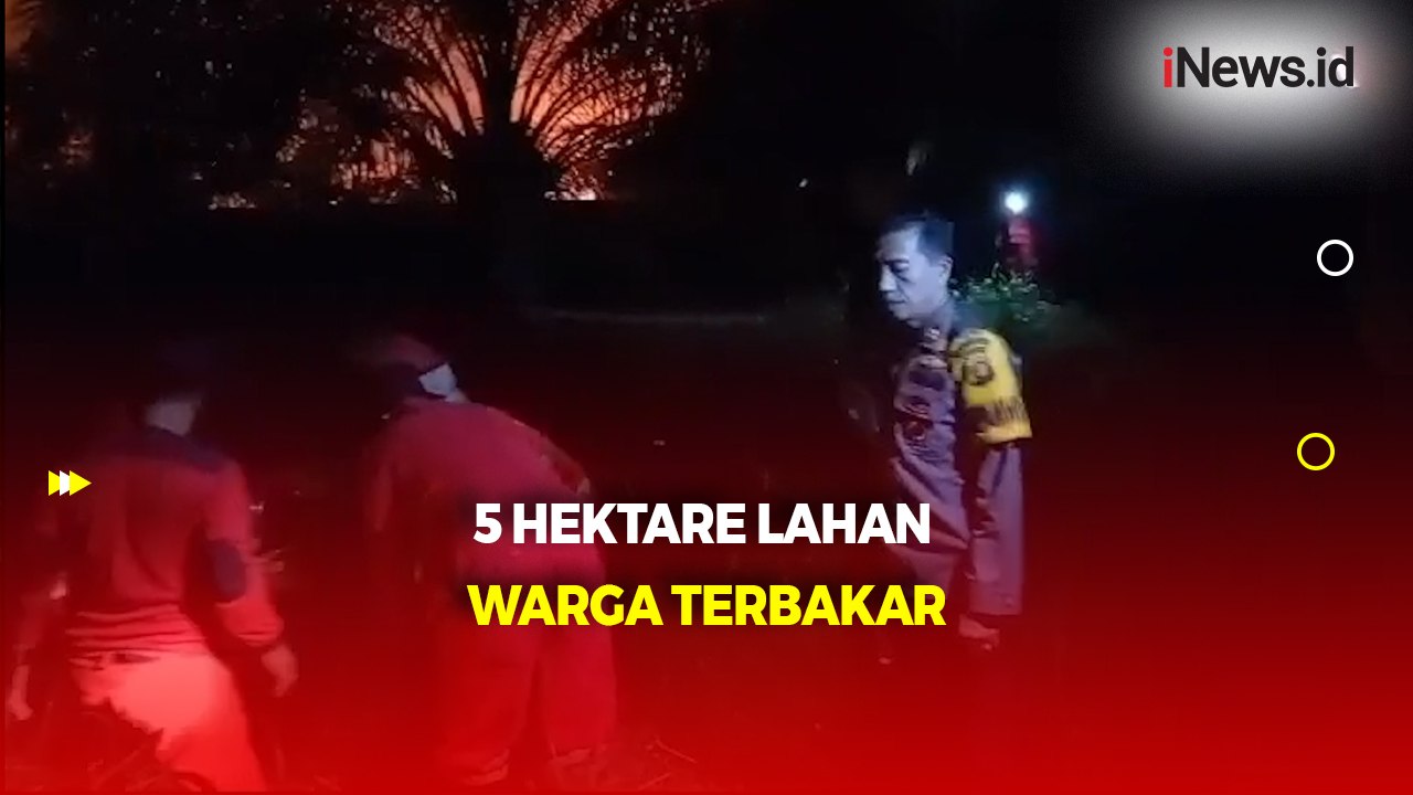 Kebakaran 5 Hektare Lahan Warga di Muarojambi, Petugas Pasang Garis Polisi