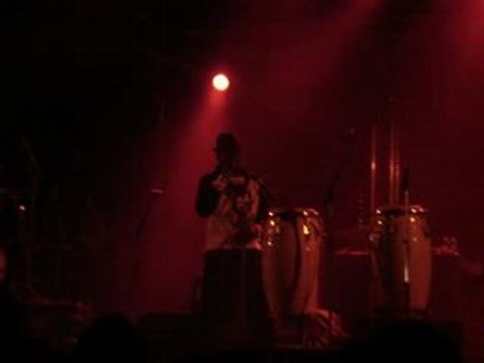 Transglobal  Underground a rockavista pontivy 12 avril 08