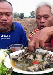 They are eating frogs 