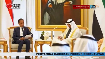 Pertemuan Jokowi dan Presiden Persatuan Emirat Arab