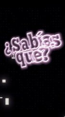 ¿Cuántas neuronas tiene el cerebro? 