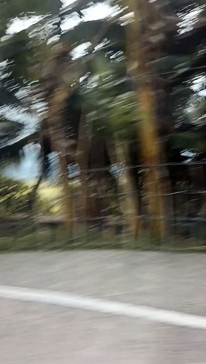 gala gala lang