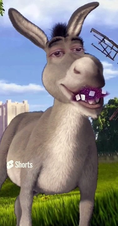 khawab me gadha khareedna, dekhne , sawari kerna ya gadhe c girna