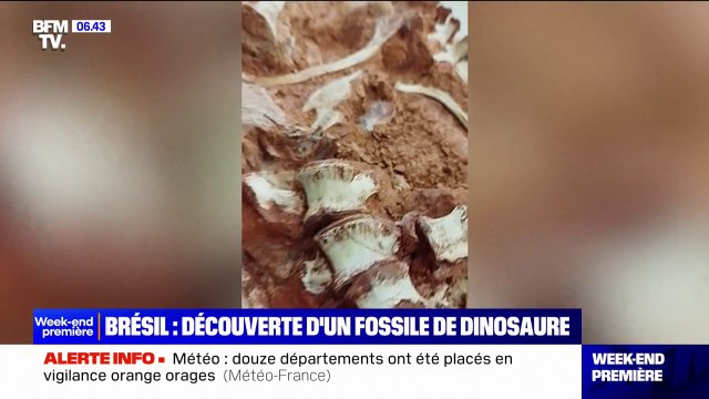Un fossile de dinosaure a été découvert au Brésil