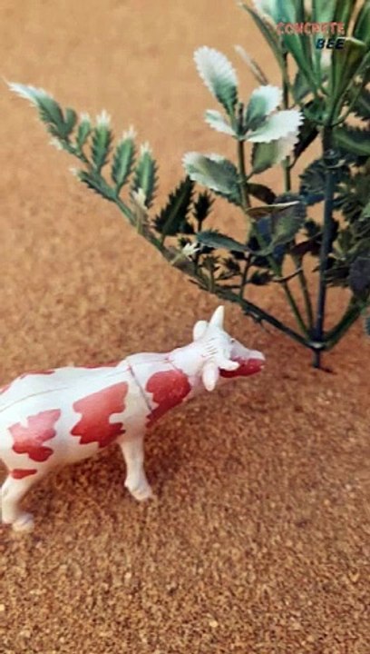 Mini Chaff Cutter Machine Project Mini Handpump Water Motor And Cow Video Project #23