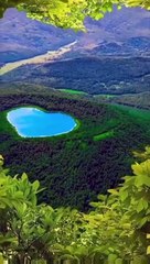 Nature short video _natural _shorts(480P)