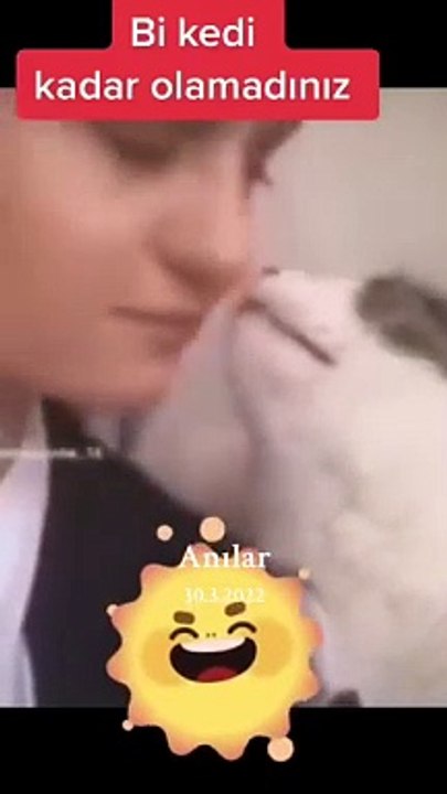 Cat love