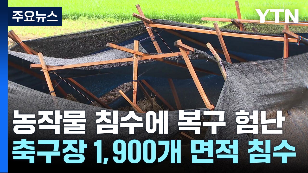 장맛비로 축구장 천9백 개 면적 농작물 침수 피해 / YTN