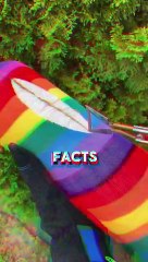 Random facts about U.S.A that will shock you