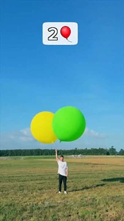 Balloon fly
