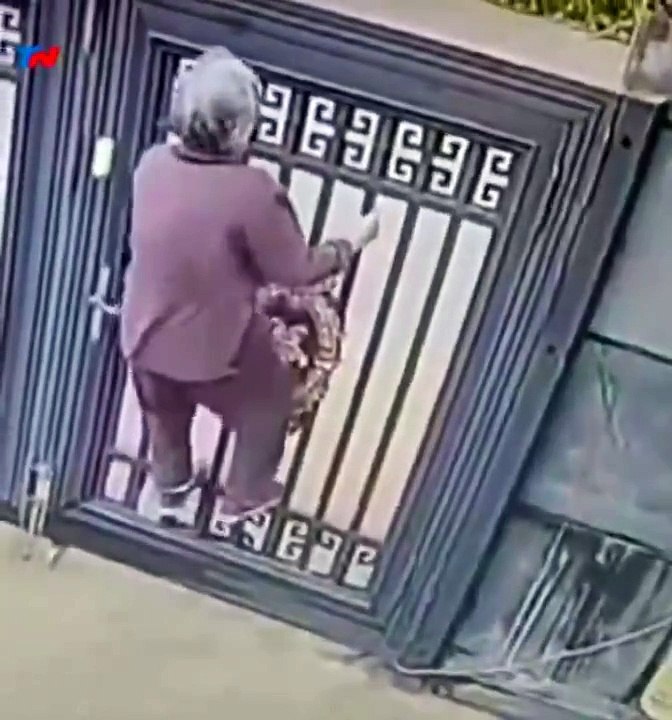 Insolite : une femme de 92 ans s'évade d'une maison de retraite en escaladant une clôture de 2 mètres de haut