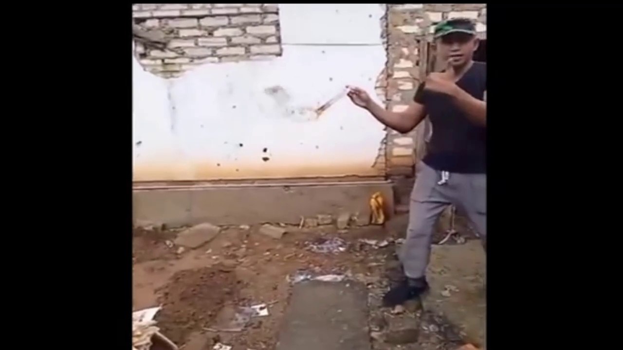 Funny Video