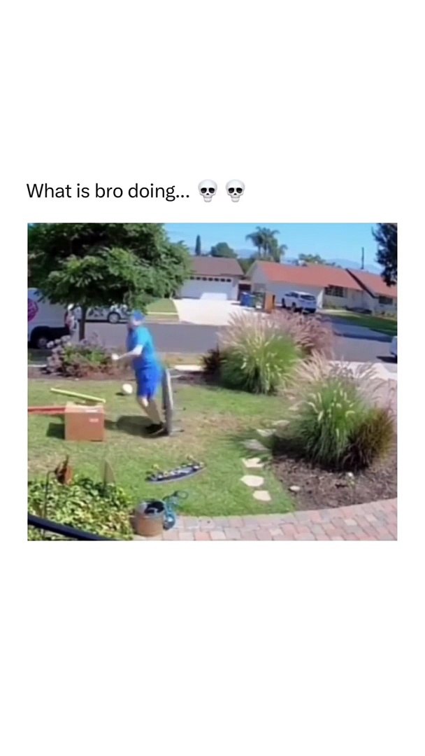 Entertainment funny and comedy videos