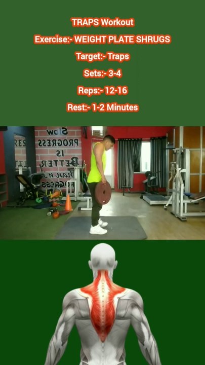 ❌ WEIGHT PLATE SHRUGS ✔️ How can I get Bigger TRAPS?  #heermlgangaputra #naturalbodybuilding #workout #exercise #fitness #gym #muscle #training