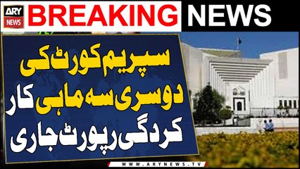 Supreme Court's second Quarterly working report released