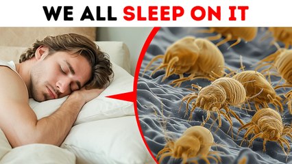 100 Random Facts to See the World in a New Way