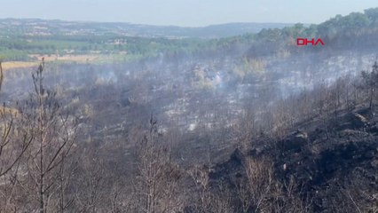 Çanakkale Ayvacık'taki orman yangını 2'nci gününde