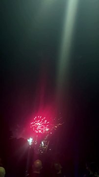 Le Feu d’artifice du 14 juillet Grenoble Parc Jean-Verlhac Villeneuve #france #grenoble #show (24)