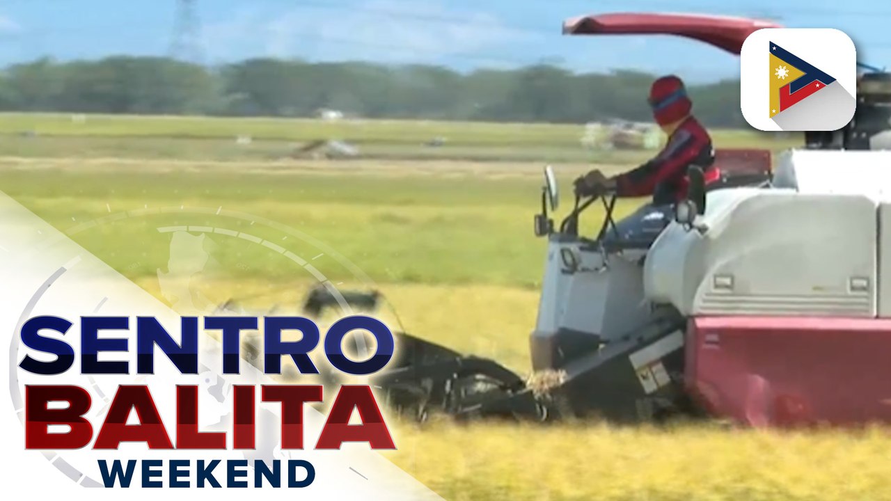 DA, pinag-aaralan na kung paano mas magiging sustainable ang pagbebenta ng P29/kg ng bigas