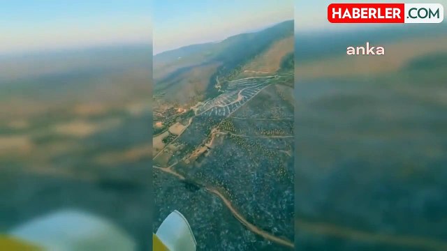 Uşak'taki Orman Yangınları Kontrol Altına Alındı