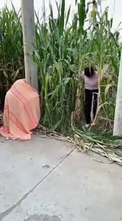 Must watch funny vedio