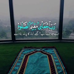 Islamic ayat/ quran recite