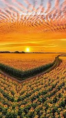 Rabbana Atina Fid Dunya Full Dua