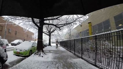 Walking through a snowstorm from Astoria to Long Island City.