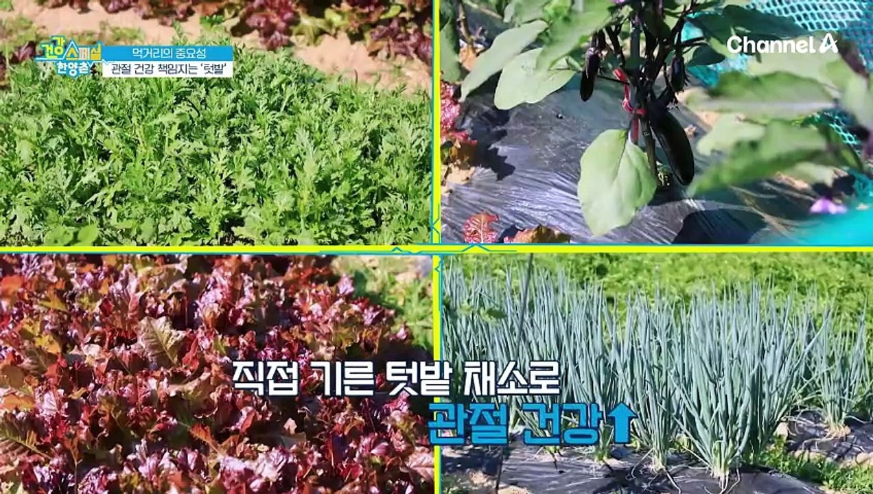 염증 관리를 위한 저염식 식단?! 관절염 탈출 도운 관절 건강 밥상은?