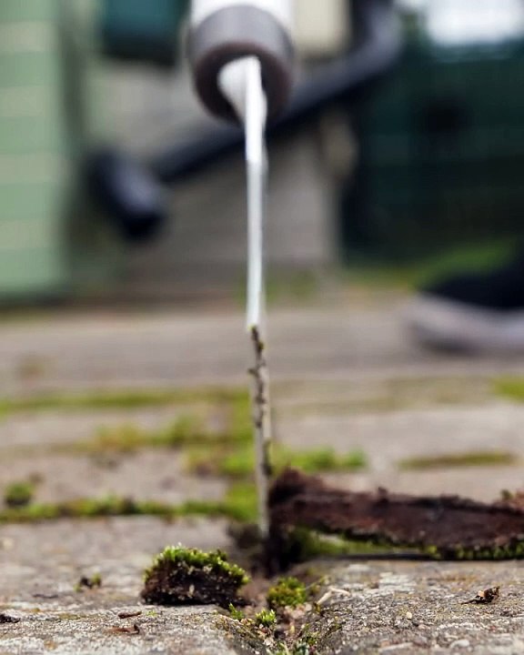 Improve Your Yard Work with Smart Garden Hacks