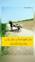 Pakistan ka ya hall ha