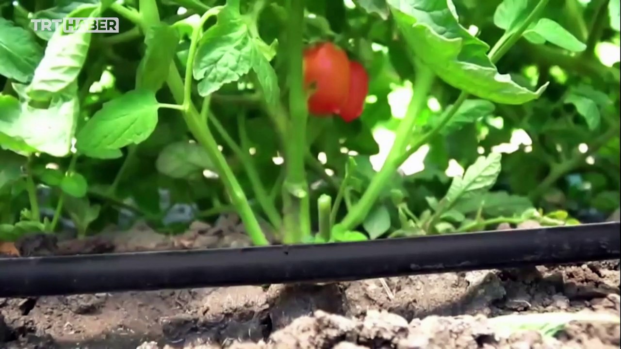 Türkiye'den KKTC'ye vizyon projeleri