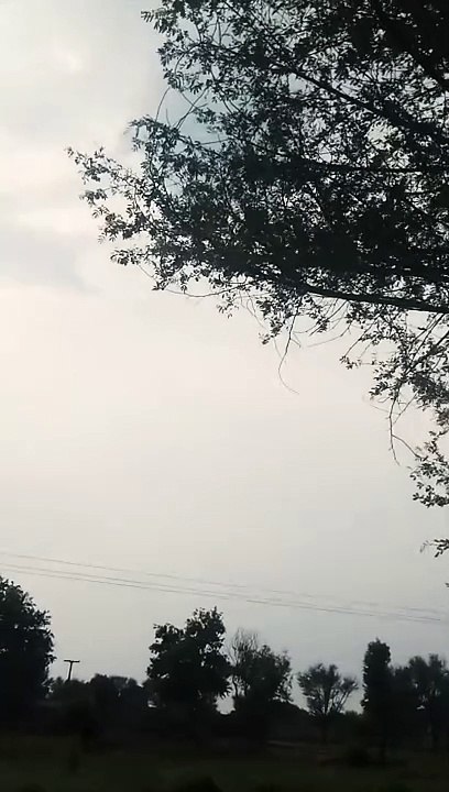 Pind da sohna saf birds songs natural mahal| Natural Hawa Natural fizaa,