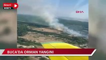 İzmir'de orman yangını