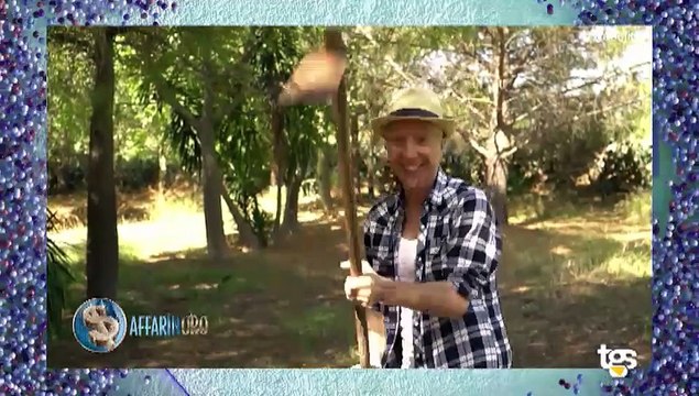 Speciale ritiro del Palermo, la squadra parte da Livigno per andare a disputare l'amichevole col Monza