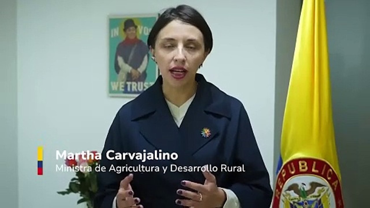 La ministra de Agricultura y Desarrollo Rural, Martha Carvajalino, habla del efecto de la decisión en la compra de tierras