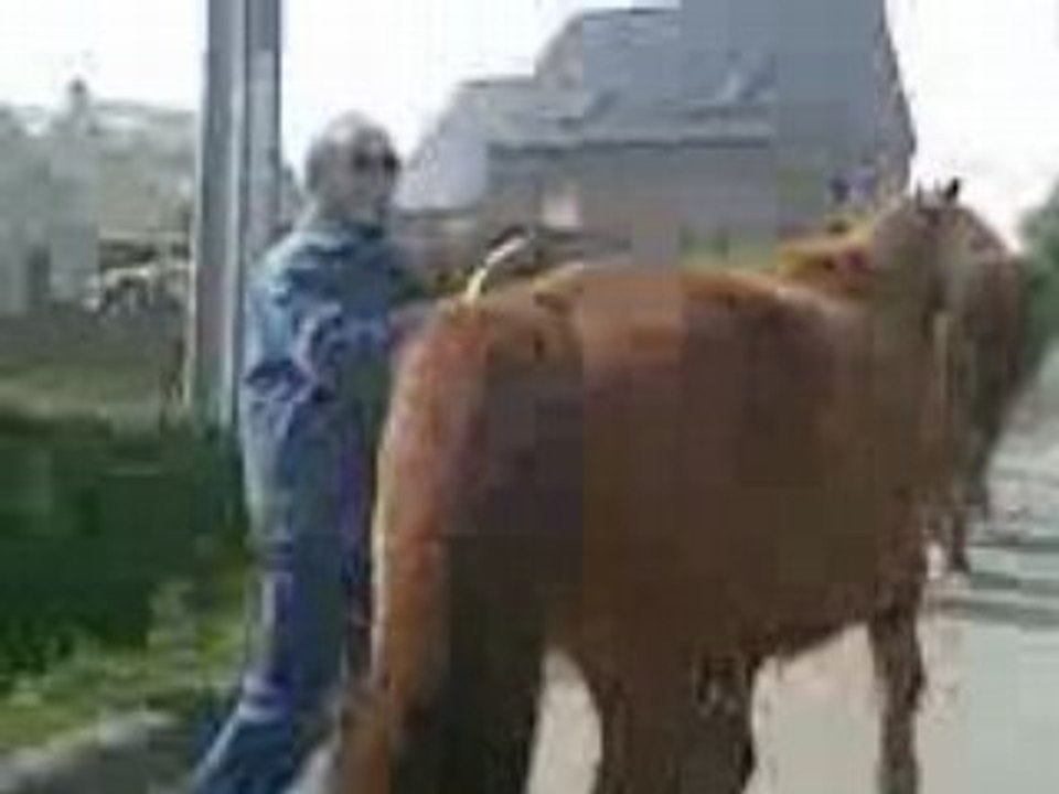 Vidéo010