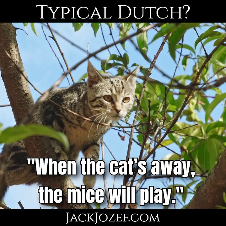 #005 - Typical Dutch? - "When the cat’s away ..."