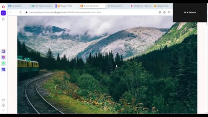 Picture Description -ESL