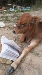 While studying 