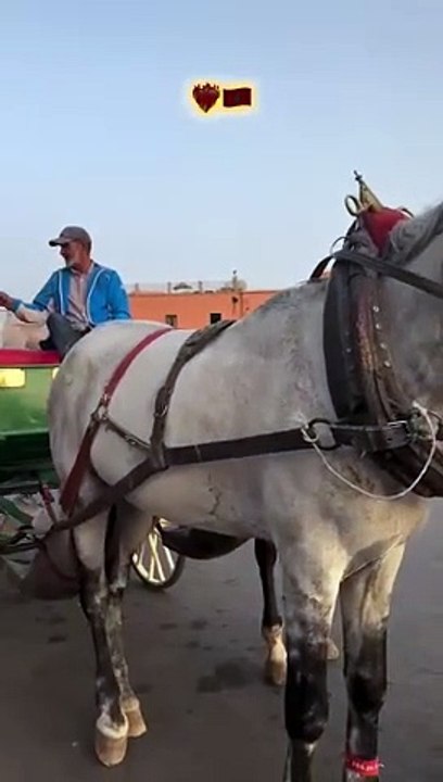 Marrakech, Morocco
