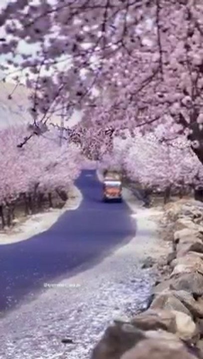 Beautiful place
