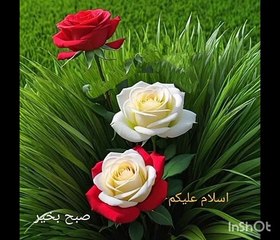 Qari muhammad saghir surah al gahshea